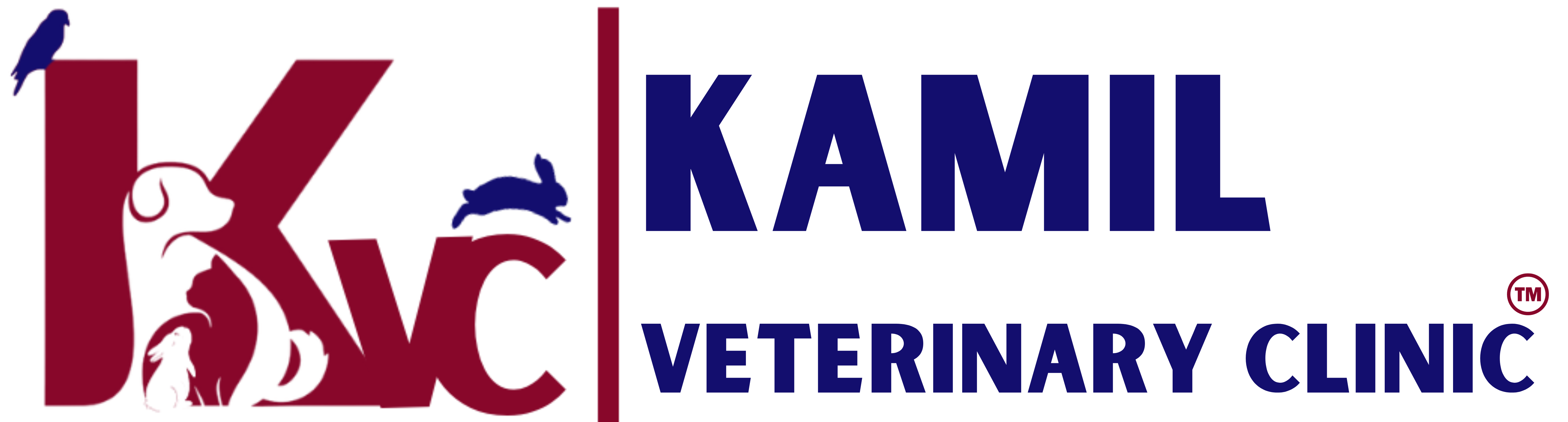 Junior Vet Kamil Veterinary Clinic