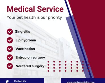 veterinary clinic near me