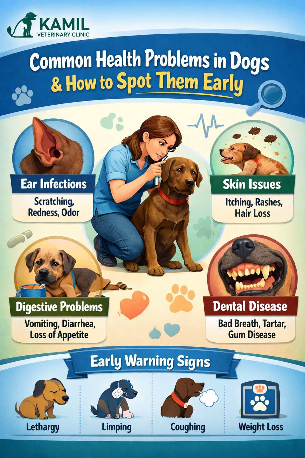 Common Health Problems in Dogs & Early Warning Signs | Vet Guide